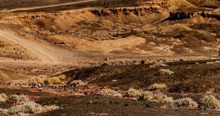 《鹅鸭杀》手游公测24小时新增用户破500万，金山携手虎牙打造年轻社交新平台